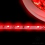 LED Strip SMD3528 12V 4.8W/m red IP65 60LED/m