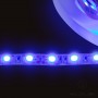 LED Strip SMD5050 12V 14.4W/m blau IP65 60LED/m