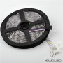 RGBW LED Strip connector 5core 12mm